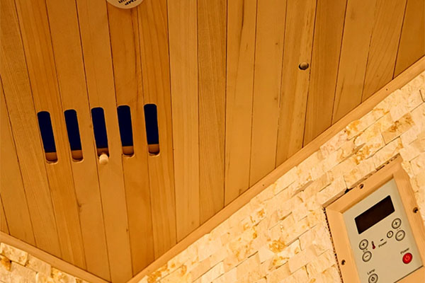 Arctic Six Person Traditional Corner Style Sauna House