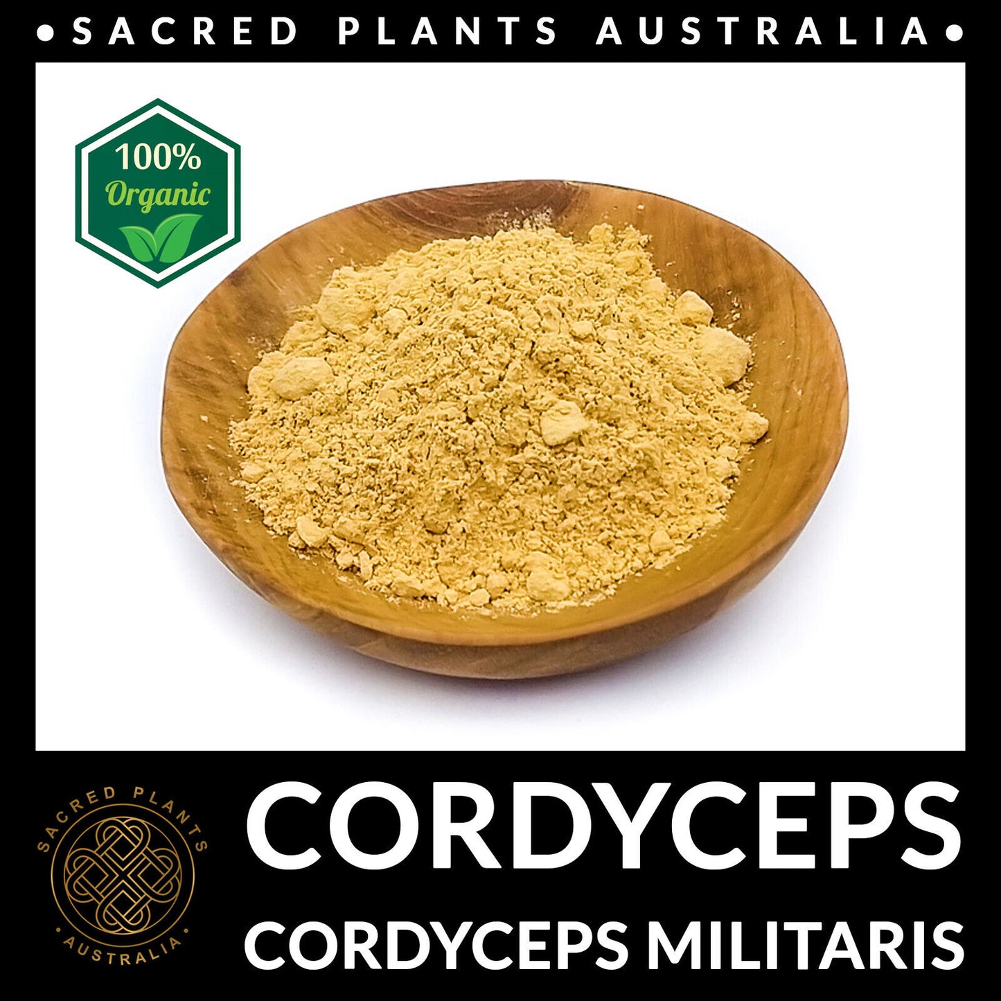 CORDYCEPS 50g Organic Mushroom Powder | Cordyceps Militaris Rare Medicinal Fungi