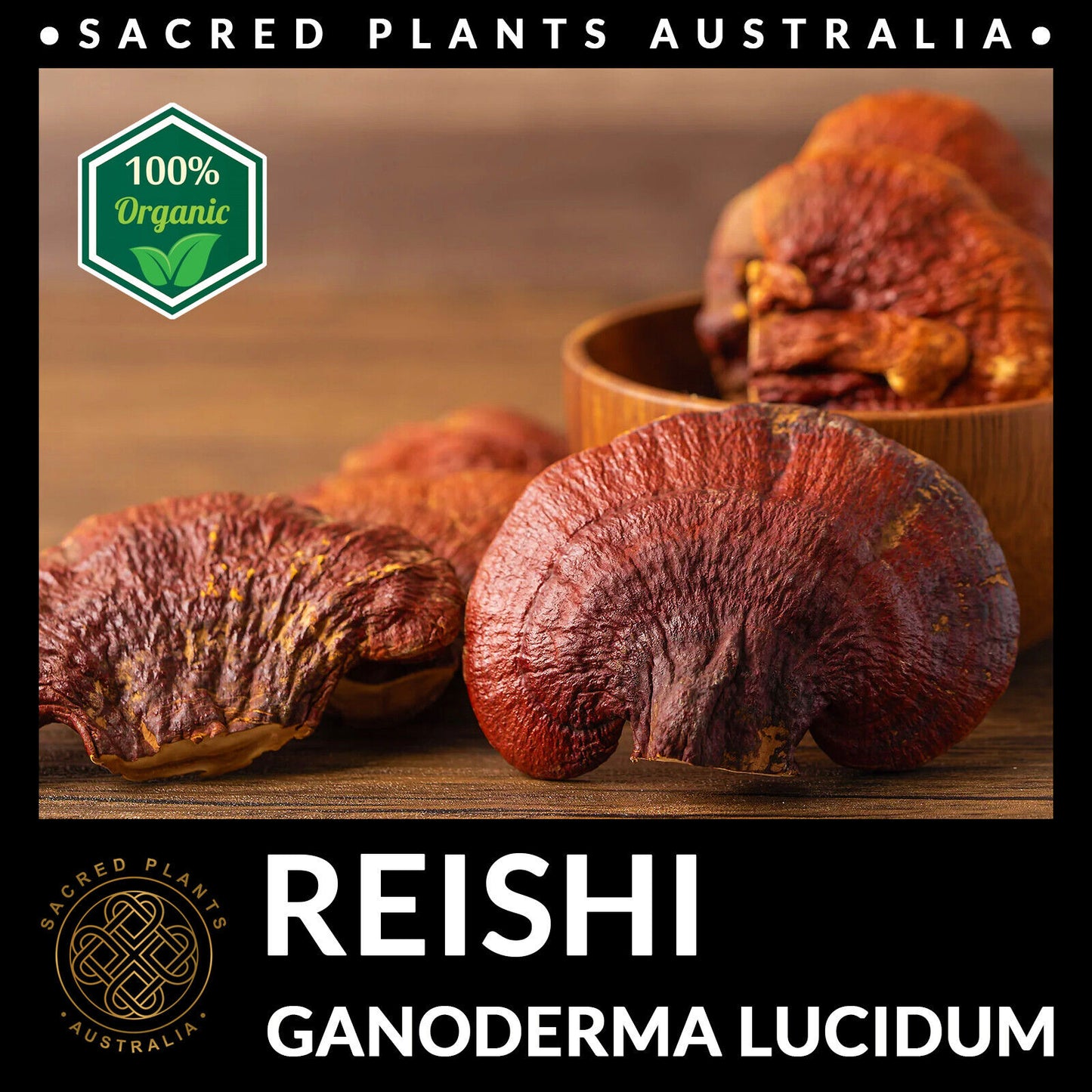 REISHI Mushroom Powder 50g Organic | Ganoderma Lucidum Exotic Medicinal Fungi
