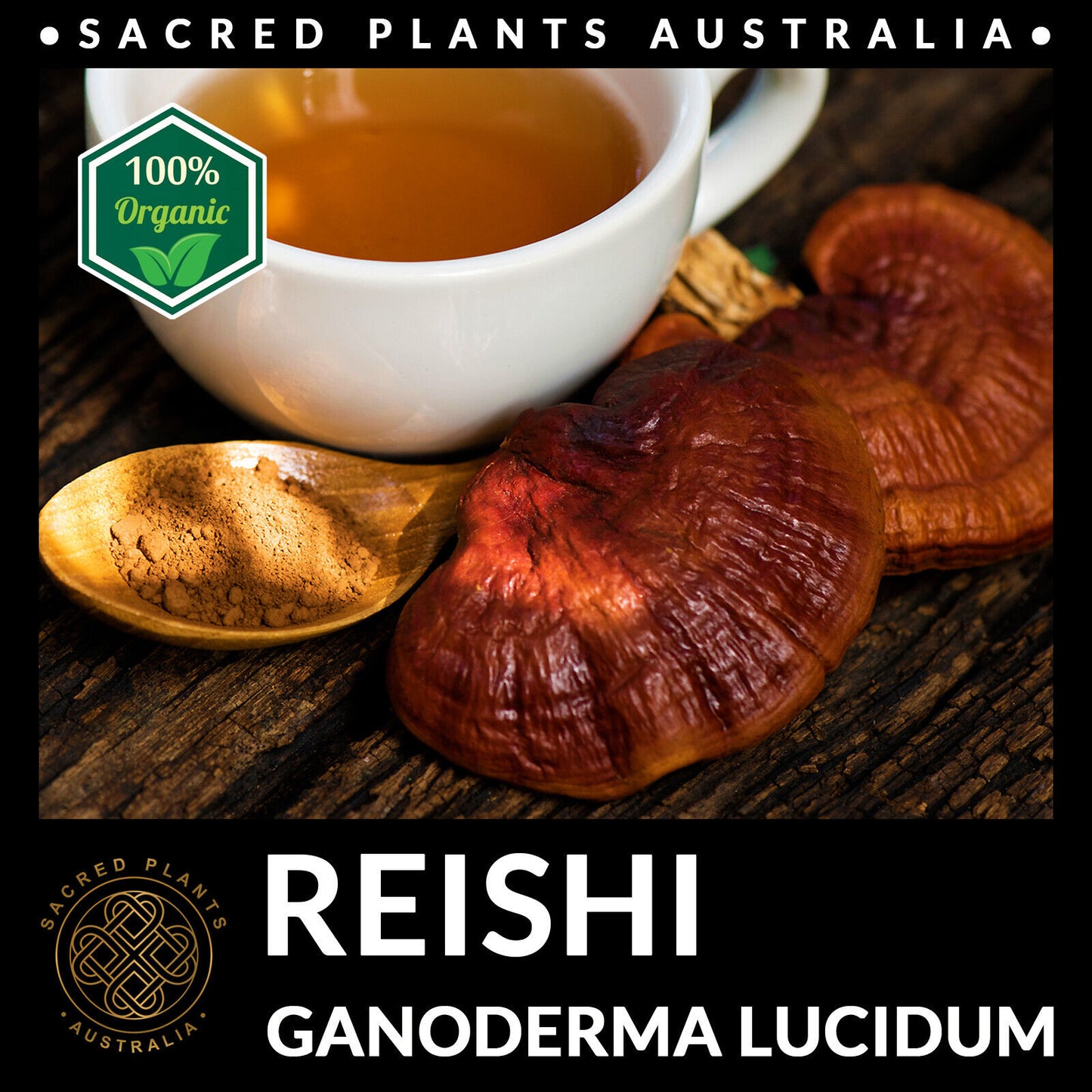 REISHI Mushroom Powder 50g Organic | Ganoderma Lucidum Exotic Medicinal Fungi