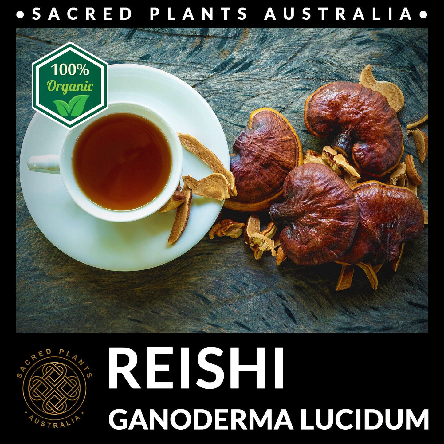 REISHI Mushroom Powder 50g Organic | Ganoderma Lucidum Exotic Medicinal Fungi