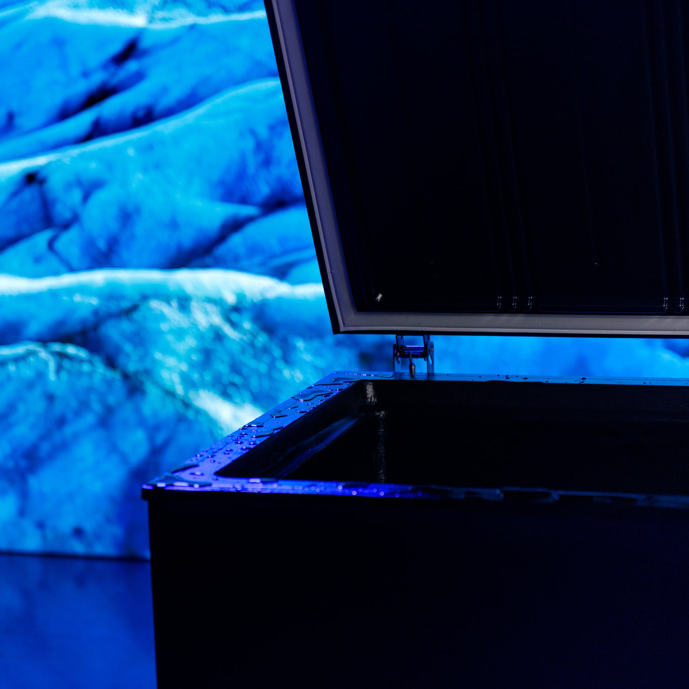 Arctic Oasis Detail