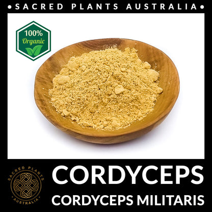 CORDYCEPS 50g Organic Mushroom Powder | Cordyceps Militaris Rare Medicinal Fungi
